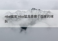 nba猛龙 nba猛龙是哪个国家的球队