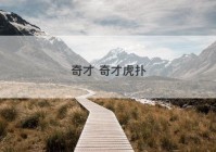 奇才 奇才虎扑