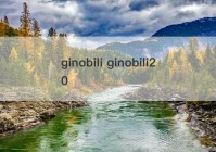 ginobili ginobili20