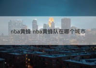 nba黄蜂 nba黄蜂队在哪个城市