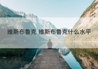 维斯布鲁克 维斯布鲁克什么水平