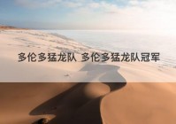 多伦多猛龙队 多伦多猛龙队冠军