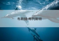 布斯特 布列斯特