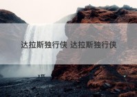 达拉斯独行侠 达拉斯独行侠