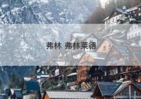 弗林 弗林莱德