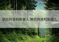 明尼阿波利斯湖人 明尼阿波利斯湖人