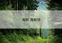 海斯 海斯特
