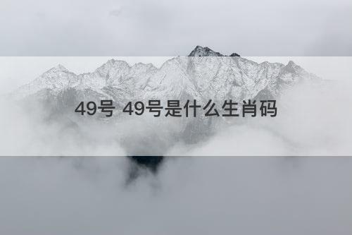 49号 49号是什么生肖码