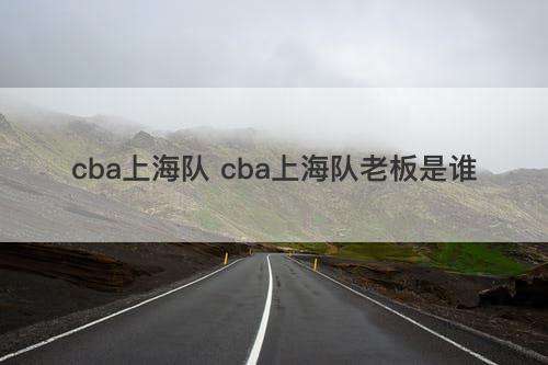 cba上海队 cba上海队老板是谁