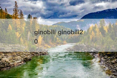 ginobili ginobili20