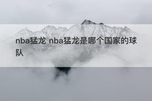 nba猛龙 nba猛龙是哪个国家的球队 nba猛龙 nba猛龙是哪个国家的球队