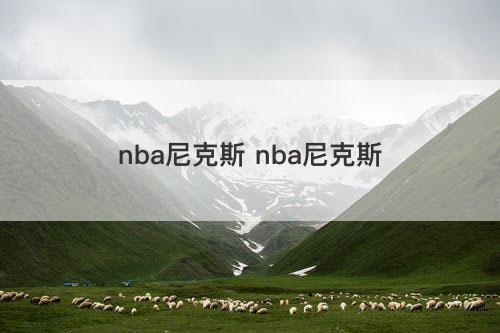 nba尼克斯 nba尼克斯