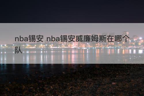 nba锡安 nba锡安威廉姆斯在哪个队
