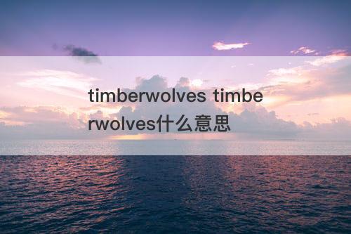 timberwolves timberwolves什么意思