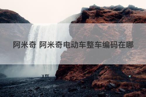 阿米奇 阿米奇电动车整车编码在哪 阿米奇 阿米奇电动车整车编码在哪
