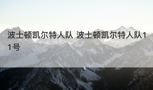 波士顿凯尔特人队 波士顿凯尔特人队11号