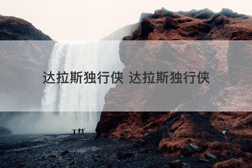 达拉斯独行侠 达拉斯独行侠