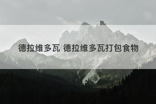 德拉维多瓦 德拉维多瓦打包食物