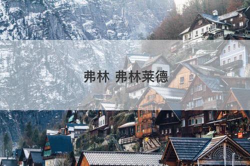 弗林 弗林莱德