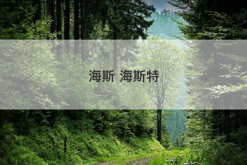 海斯 海斯特