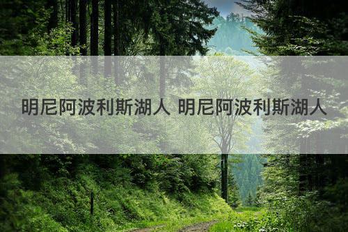 明尼阿波利斯湖人 明尼阿波利斯湖人