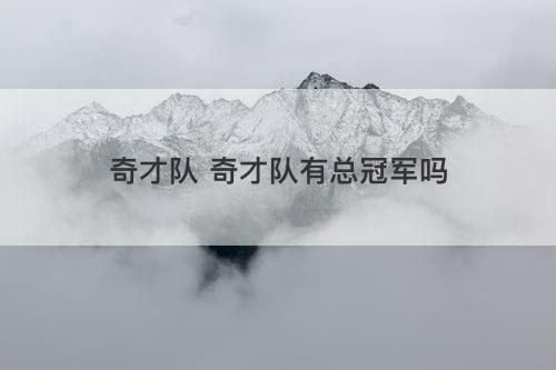 奇才队 奇才队有总冠军吗