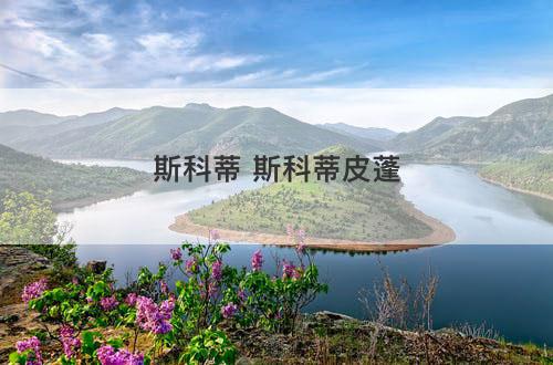 斯科蒂 斯科蒂皮蓬