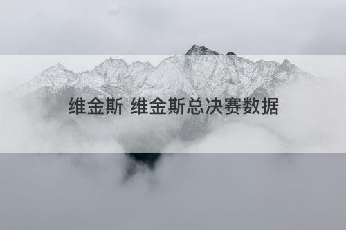 维金斯 维金斯总决赛数据