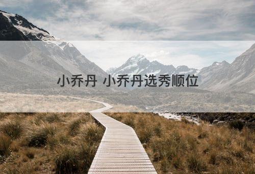 小乔丹 小乔丹选秀顺位