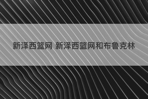 新泽西篮网 新泽西篮网和布鲁克林