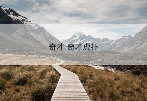 奇才 奇才虎扑